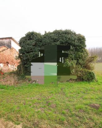Rustico con molto spazio verde
