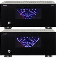 Coppia Finali ADVANCE ACOUSTIC X-A220 Top di Gamma