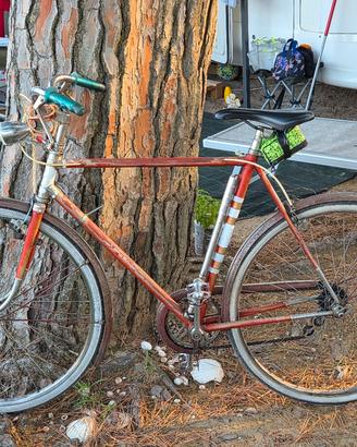 bici condomino omega