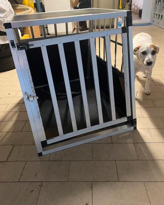Box cane per auto o casa