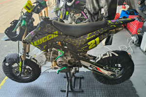 Bucci F15R
