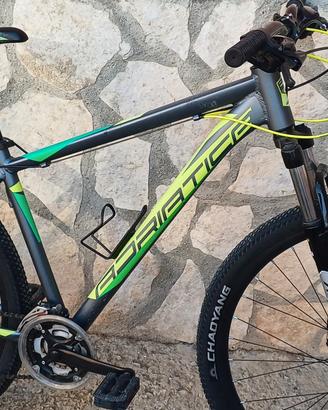 Mtb  adriatica in alluminio Misura 29 M