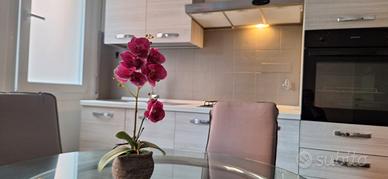 Appartamento Via Calzolari ristrutturato