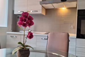 Appartamento Via Calzolari ristrutturato