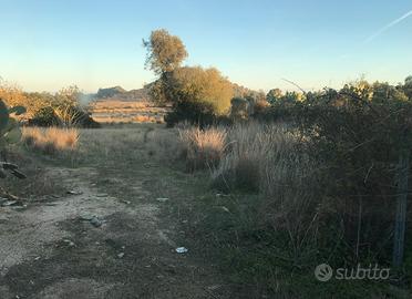 Terreno Lottizzabile - Torre Salinas-MURAVERA (CA)