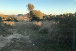 Terreno Lottizzabile - Torre Salinas-MURAVERA (CA)