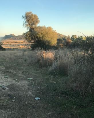 Terreno Lottizzabile - Torre Salinas-MURAVERA (CA)
