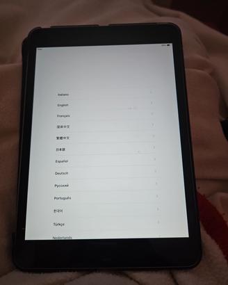 n.2 ipad Apple 