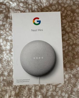 Nest Mini / Ok Google