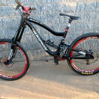 Bicicletta Downhill