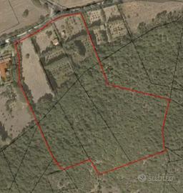 Rustico e terreno agricolo irriguo