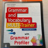Grammar and Vocabulary MULTI-Trainer