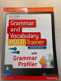 Grammar and Vocabulary MULTI-Trainer