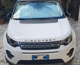 LAND ROVER Discovery Sport - 2019