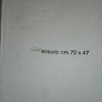 asse lavatoio cm 70X47 in plastica per lavare