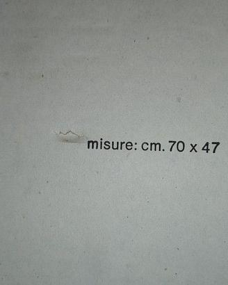 asse lavatoio cm 70X47 in plastica per lavare
