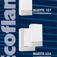 Ricambi per Caldaia ECOFLAM Bluette 107