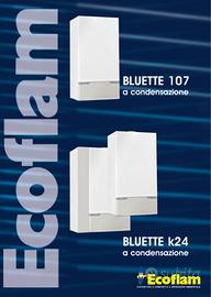 Ricambi per Caldaia ECOFLAM Bluette 107
