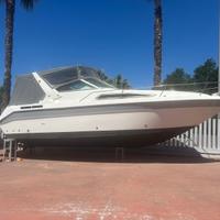 Sea Ray motori nuovi garanzia fino al 2028