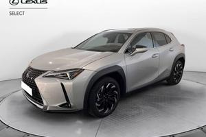 Lexus UX 250h Premium 4wd cvt