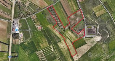 TER. AGRICOLO A SELARGIUS