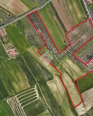 TER. AGRICOLO A SELARGIUS