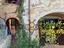 Immagine 14