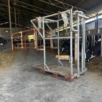 Travaglio Spaer per bovini