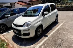 Fiat panda van HYBRID 2021