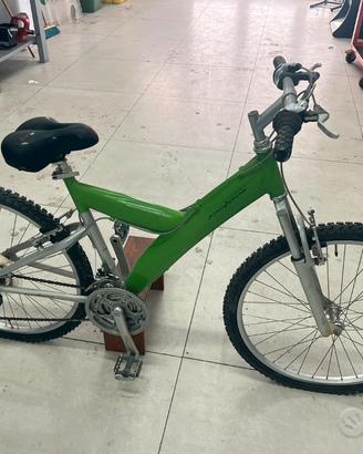 Bici Pininfarina Verde