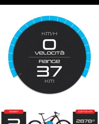 Fantic e-bike XF1