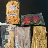 Set carnevale la bella e la bestia