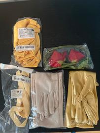 Set carnevale la bella e la bestia