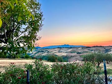 Beautiful Farmhouse - Spectacular Views