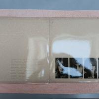 vinile bianco Beatles etc....