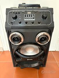 Cassa Artigianale con Stereo Alpine