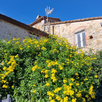 Appartamento in rustico toscano