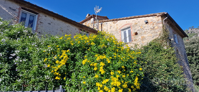 Appartamento in rustico toscano