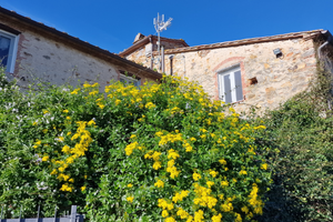 Appartamento in rustico toscano