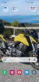 hornet 750