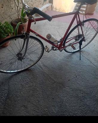 Bici da passeggio copertoni 28