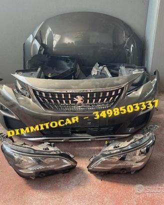 Peugeot 3008 2017 Ricambi