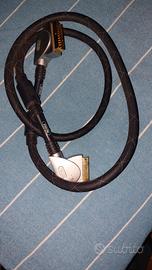 cavo presa scart 
