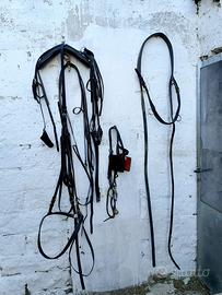 Finimento per calesse