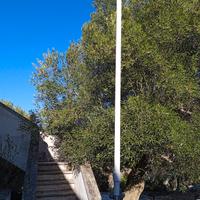 antenna vhf ereonautica 