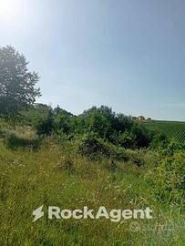 TERRENO AGRICOLO CON POTENZIALE EDIFICATORIO E VIT