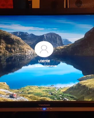 monitor wiuvsonic 20pollici 