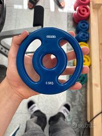 Dischi palestra 0,5 kg
