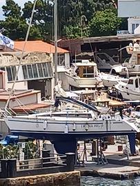 Barca a vela Barberis Show 36