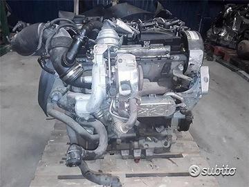 Volkswagen polo - CAY